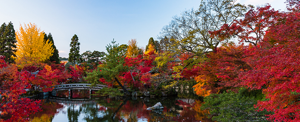 インディーズバンドライブ情報エンドレスミュージック