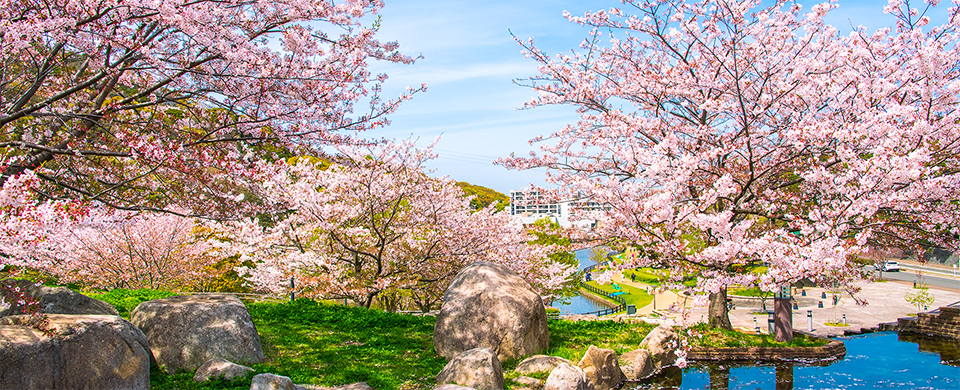 インディーズバンドライブ情報エンドレスミュージック